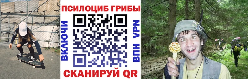 MEGA как зайти  Карабаш  Галлюциногенные грибы Psilocybe  где найти  